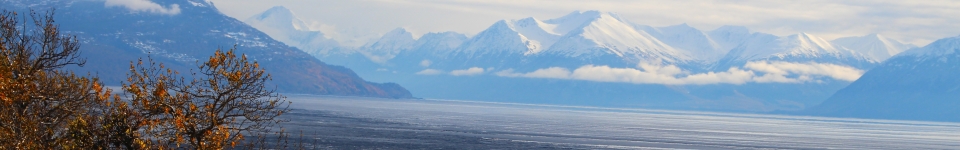 Turnagain Arm as seen from Kincaid Park
