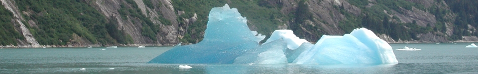 Tracy Arm Ice