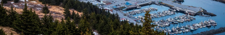 Kodiak