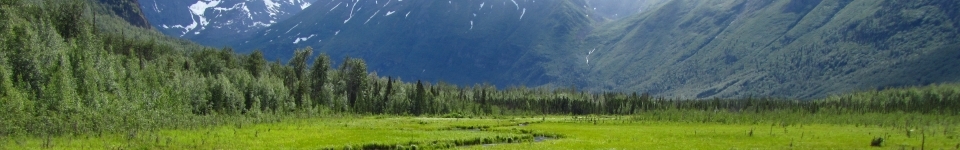 Eagle River Nature Trail