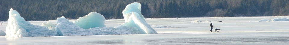 Walking the dog on Mendenhall Lake