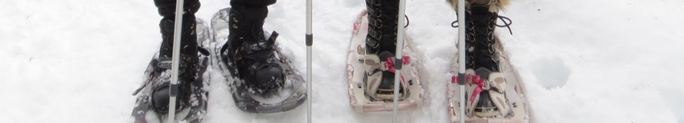 Snow Shoes
