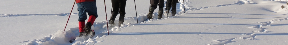 Snowshoeing along the beach at Kincaid Park