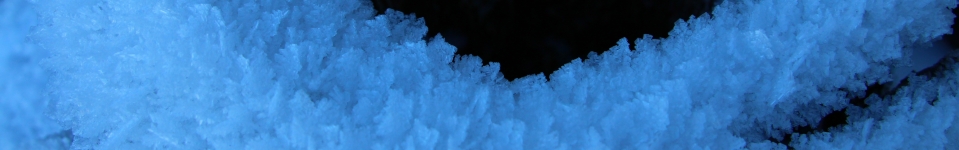 Ice crystals on a tree stump